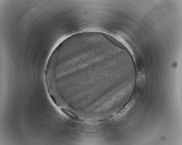 X0000098231005200805081217