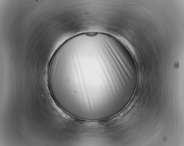 X0000098231006200805081217