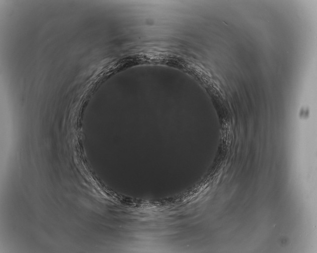 X0000098231009200805081217