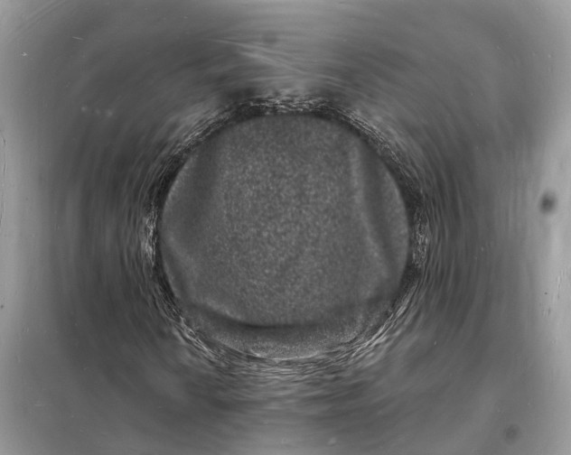 X0000098231010200805081217