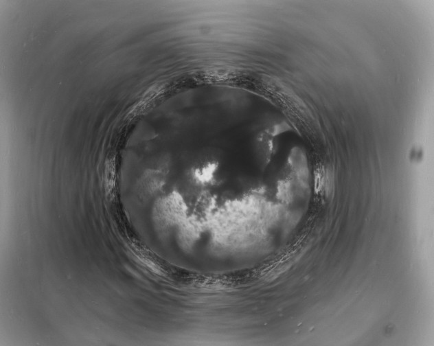 X0000098231011200805081217