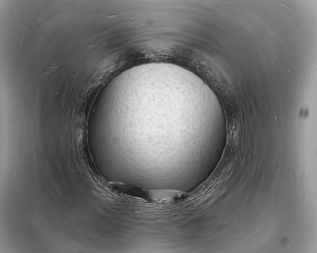 X0000098231012200805081217