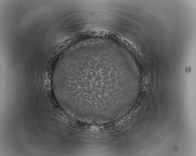 X0000098231013200805081217