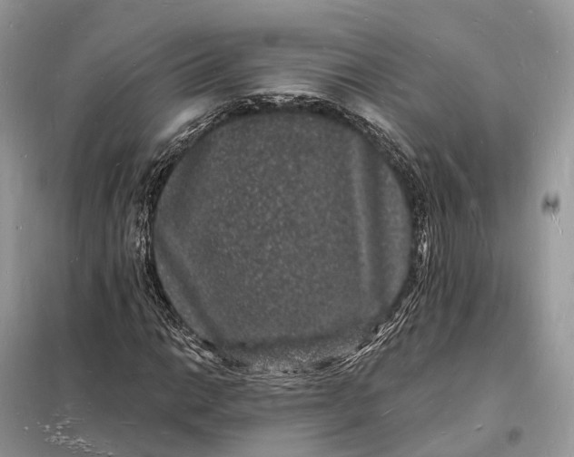 X0000098231014200805081217