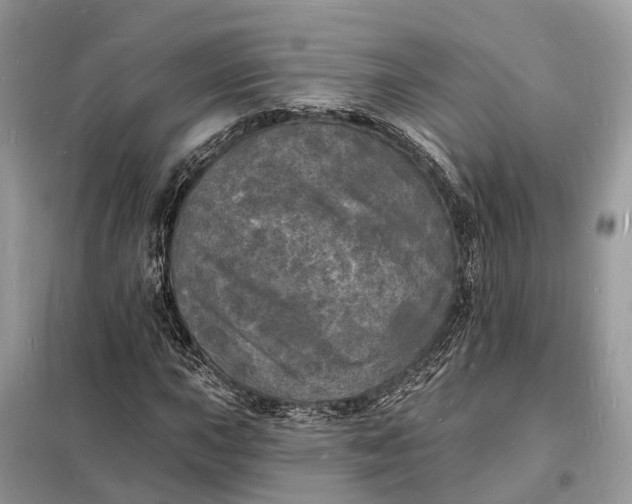 X0000098231015200805081217