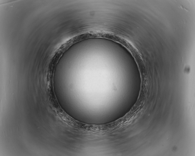 X0000098231016200805081217