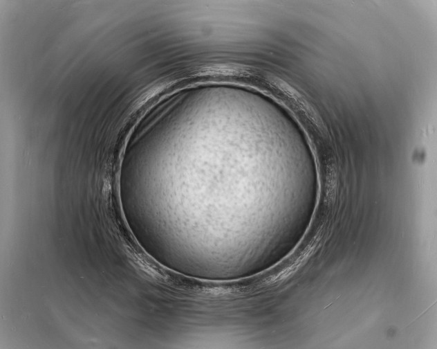 X0000098231017200805081217