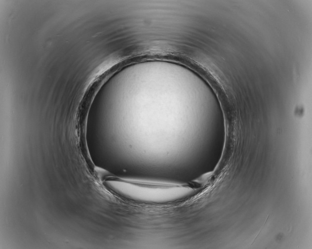 X0000098231018200805081217