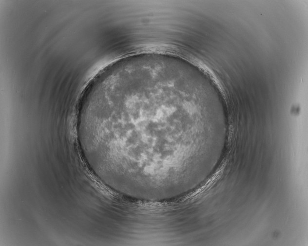 X0000098231019200805081217