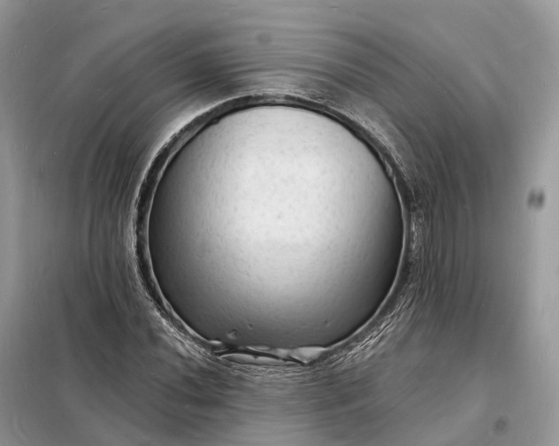 X0000098231020200805081217