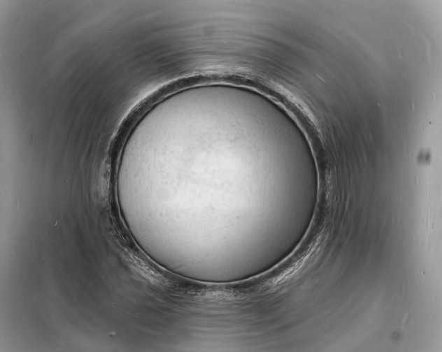 X0000098231021200805081217