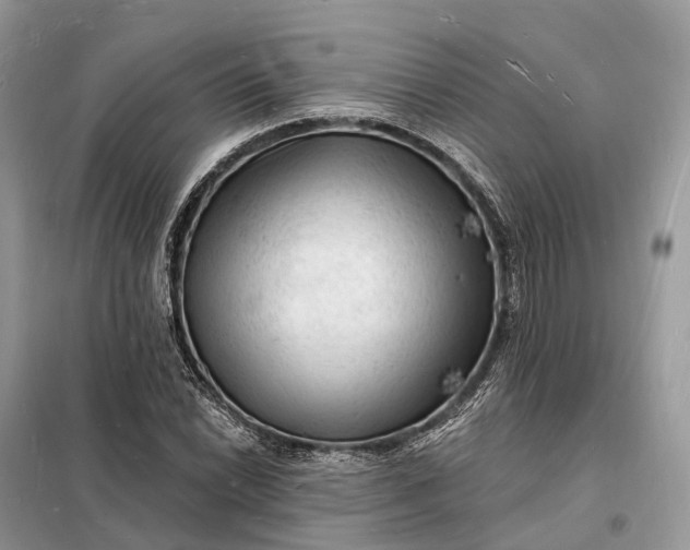 X0000098231022200805081217