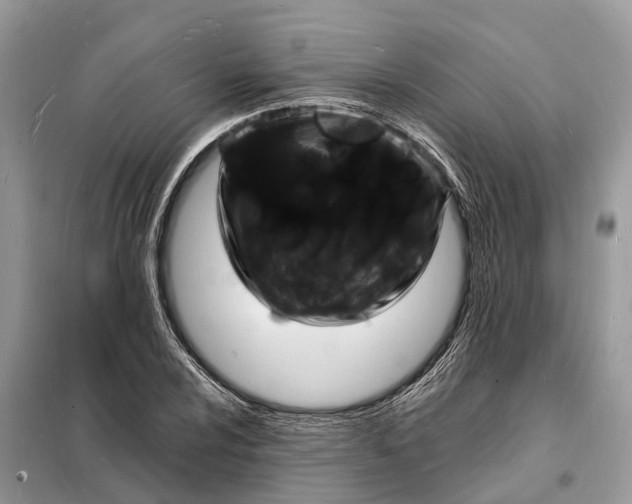 X0000098231024200805081217