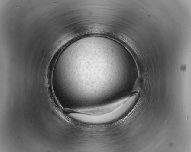 X0000098231026200805081217