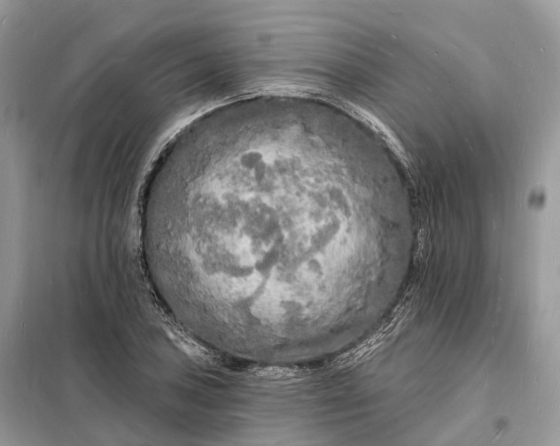 X0000098231027200805081217