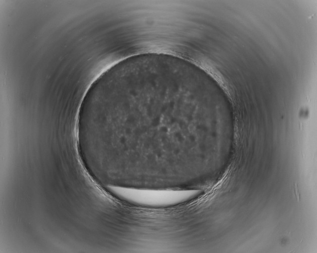 X0000098231028200805081217