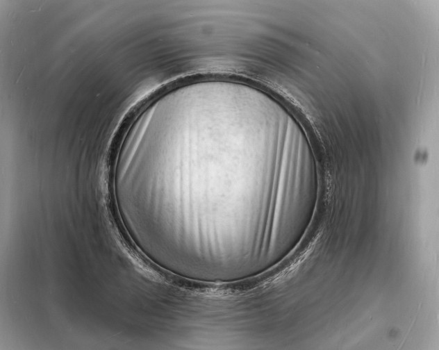 X0000098231029200805081217