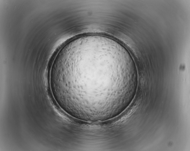 X0000098231030200805081217