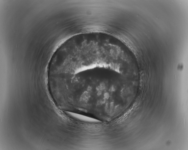 X0000098231031200805081217