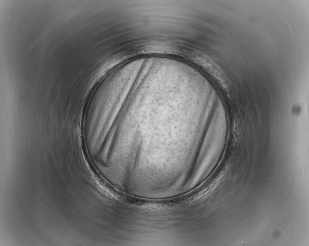 X0000098231033200805081217