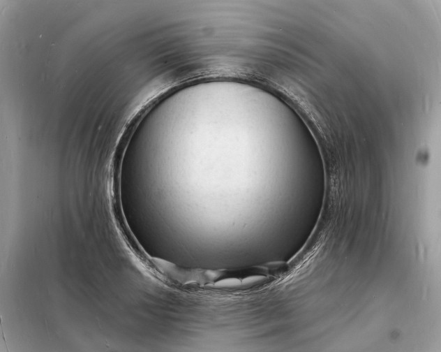 X0000098231034200805081217