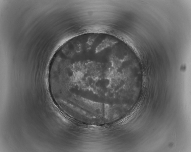 X0000098231035200805081217