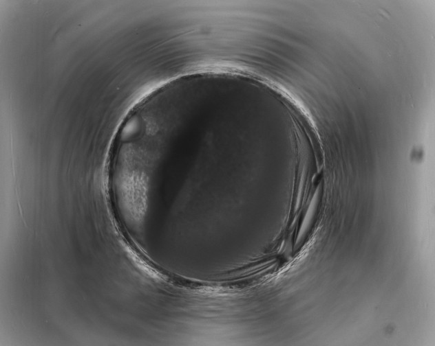 X0000098231037200805081217