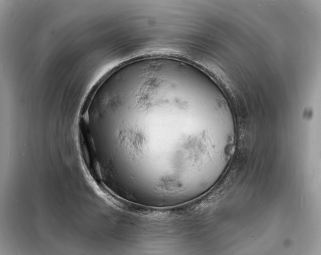 X0000098231038200805081217