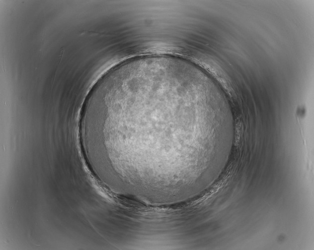 X0000098231039200805081217