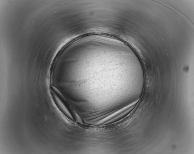 X0000098231040200805081217