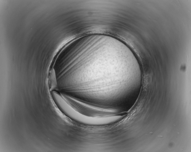 X0000098231042200805081217