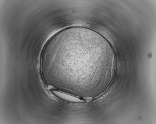 X0000098231044200805081217