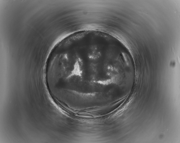 X0000098231045200805081217