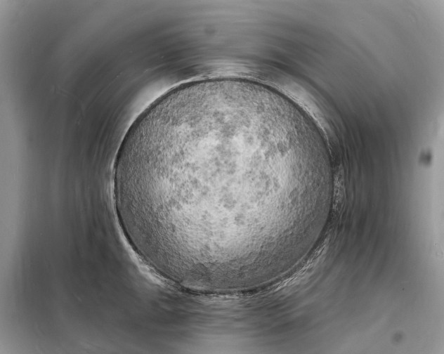 X0000098231047200805081217