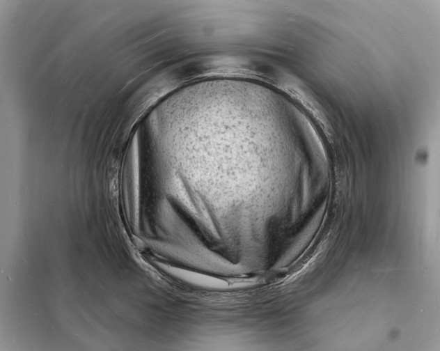 X0000098231049200805081217