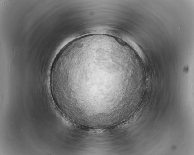 X0000098231051200805081217