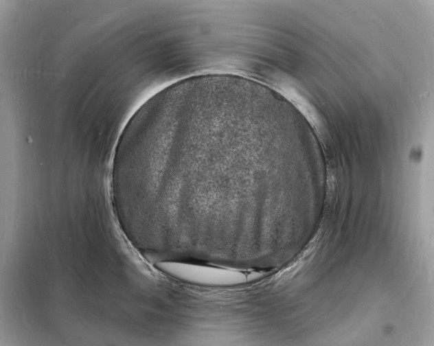 X0000098231052200805081217