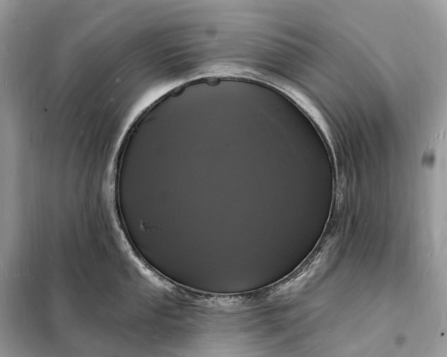 X0000098231053200805081217