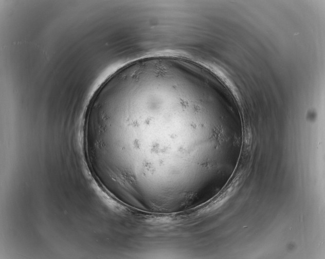 X0000098231054200805081217