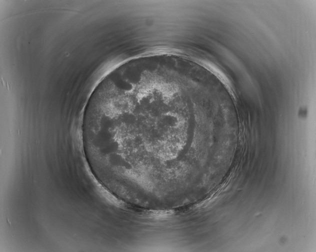 X0000098231055200805081217