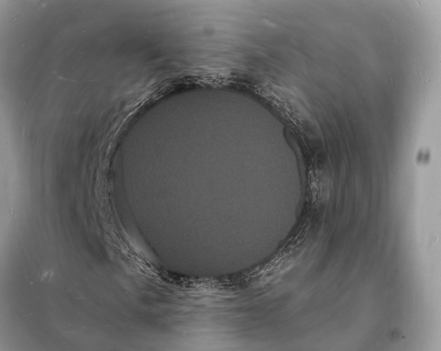 X0000098231057200805081217