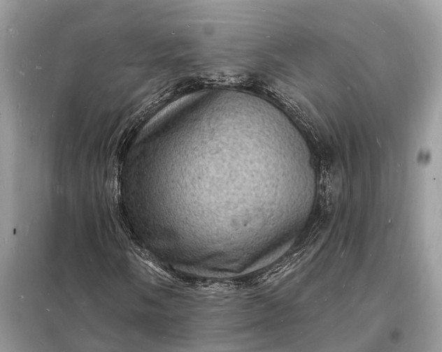 X0000098231058200805081217