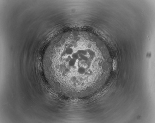 X0000098231059200805081217