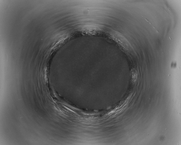 X0000098231060200805081217