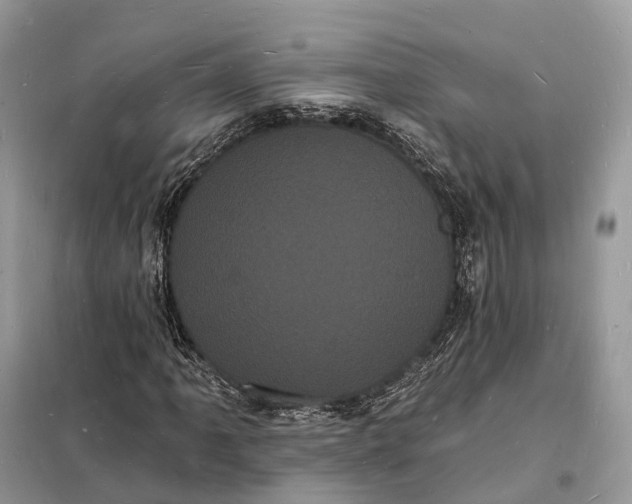 X0000098231061200805081217