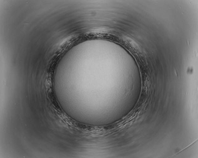 X0000098231062200805081217