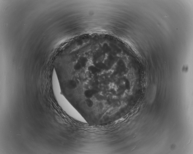 X0000098231063200805081217