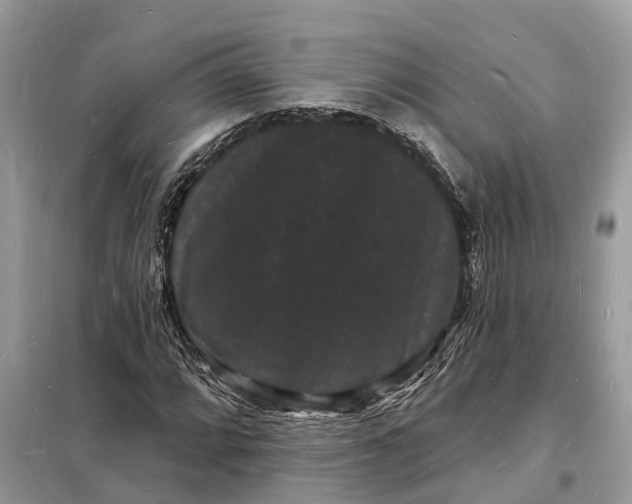 X0000098231064200805081217