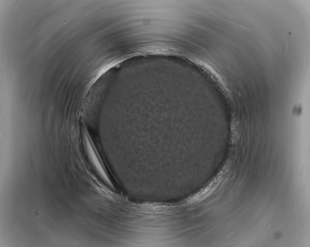 X0000098231065200805081217