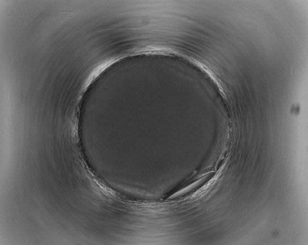 X0000098231066200805081216